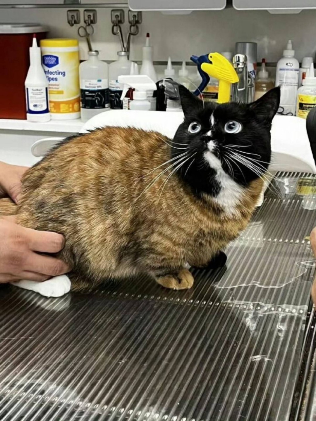 帣ͼƷϵ ӵĺĵȻҪ