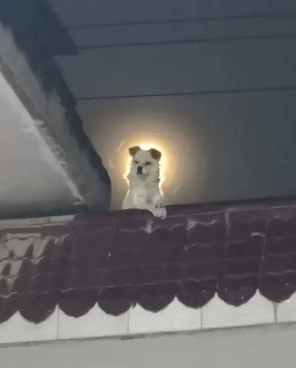 帣ͼƷϵ ӵĺĵȻҪ