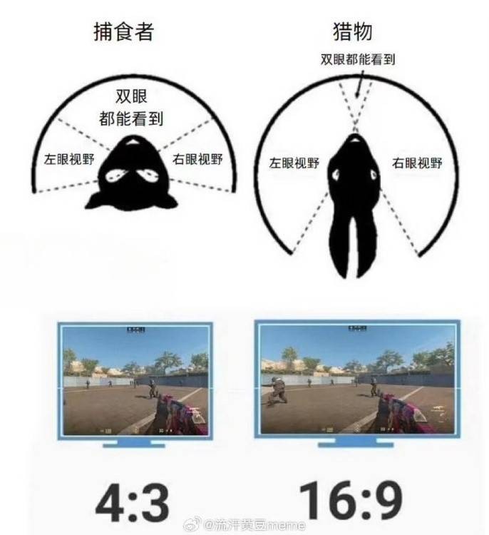 3DMһ̵1528 ȦΨһҵ