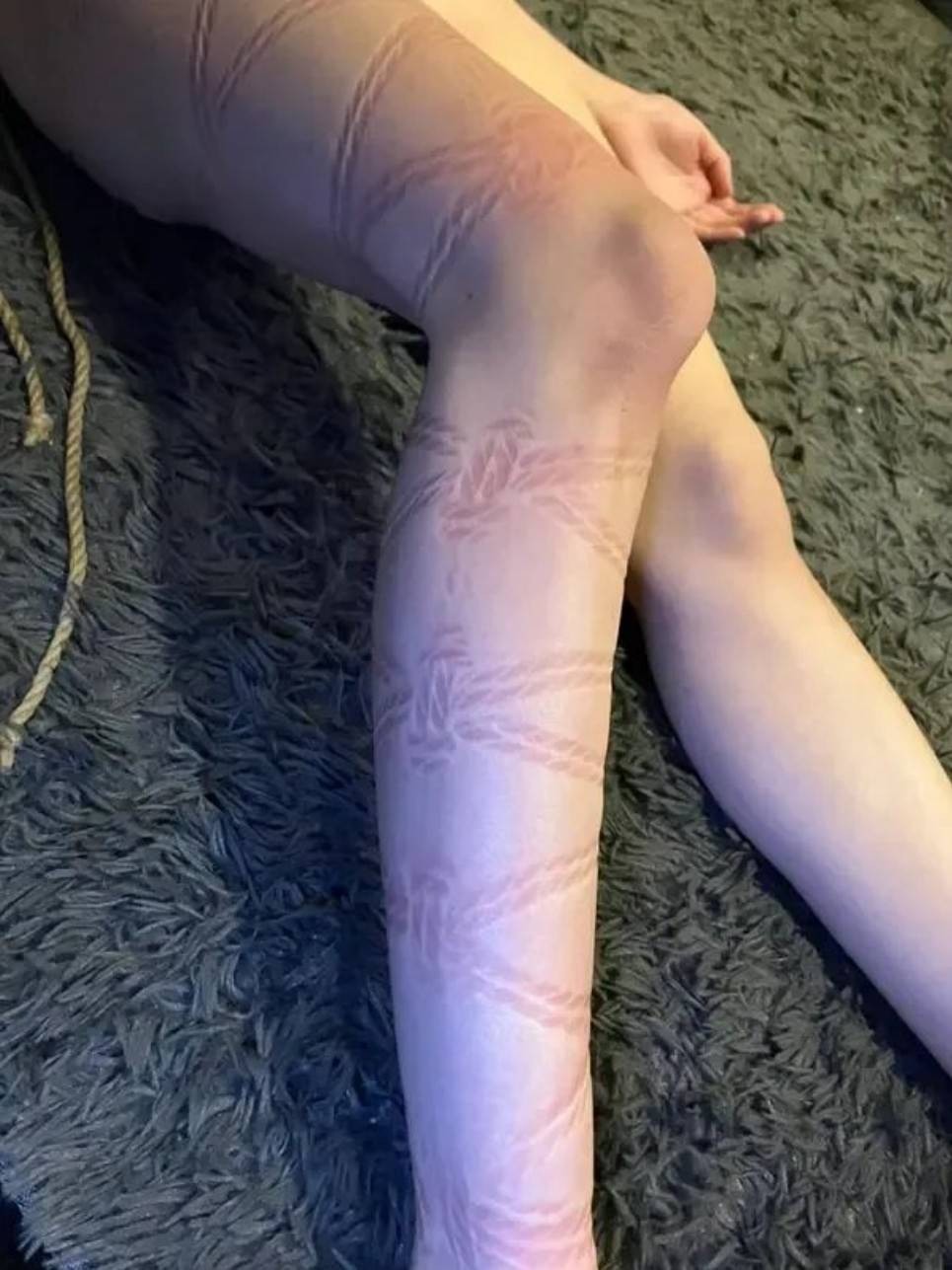 һںͼƷϵ ë±ů͸Ի