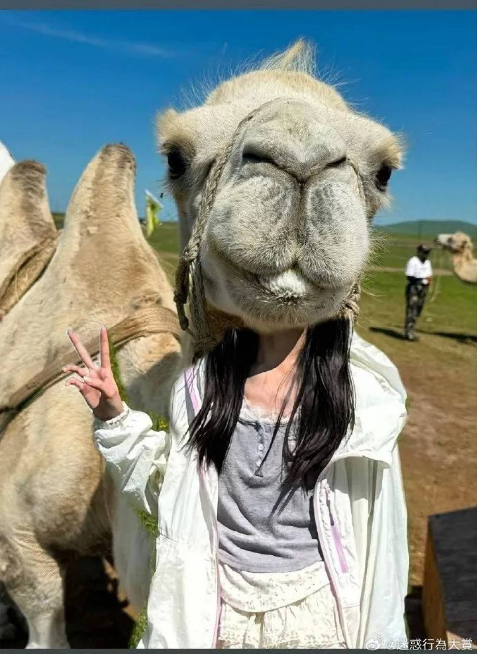 һںͼƷϵ ë±ů͸Ի