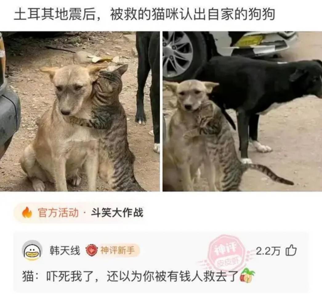 һںͼƷϵ ë±ů͸Ի