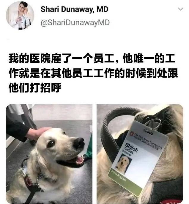 3DMһ̵1531 Ӧûϲ
