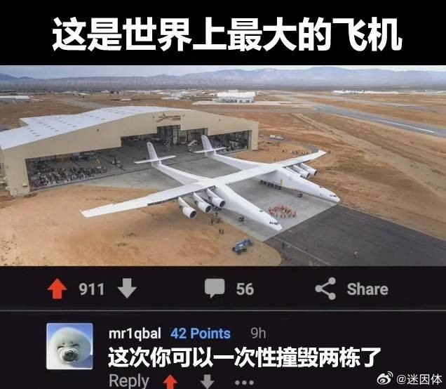 3DMһ̵1531 Ӧûϲ