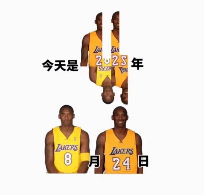 3DMһ̵1531 Ӧûϲ