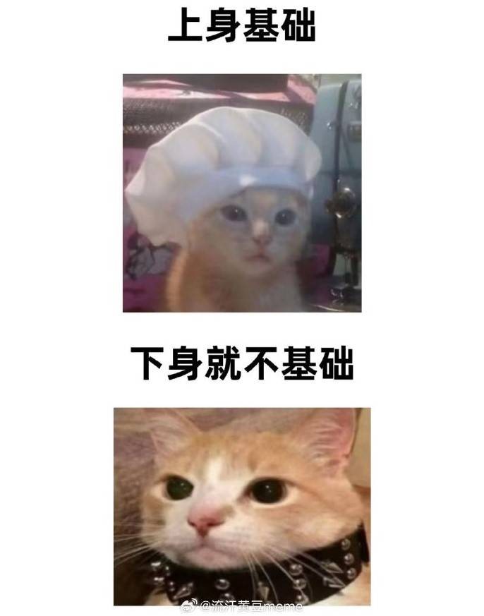 3DM輕松一刻第1531期 健身房應(yīng)該沒有她喜歡的人
