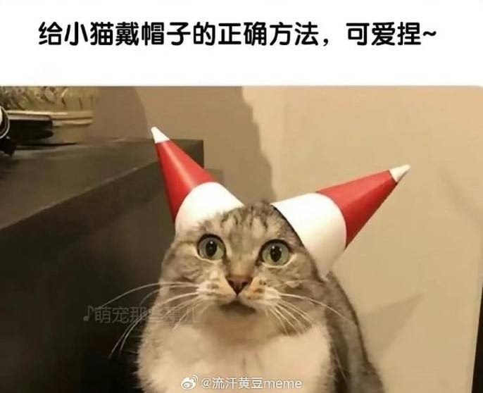 3DMһ̵1532 Ů黹ɶģ