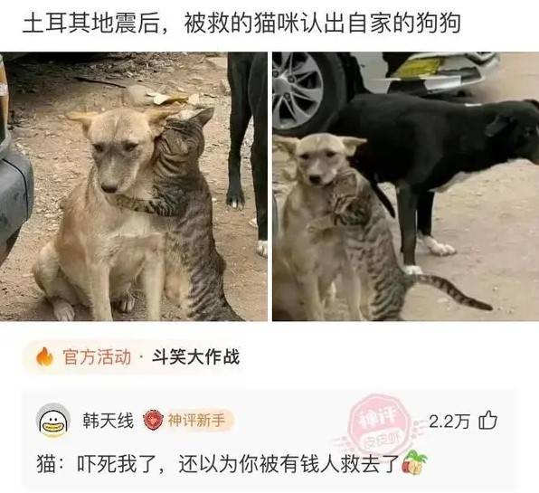 3DMһ̵1532 Ů黹ɶģ