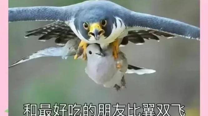 3DMһ̵1532 Ů黹ɶģ