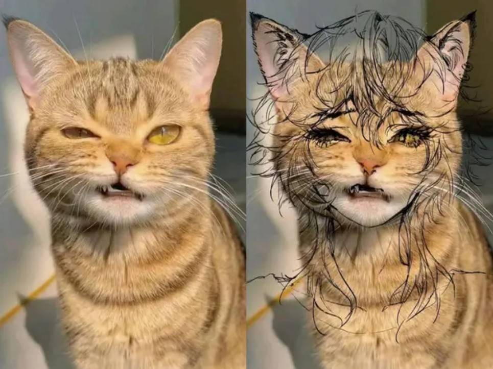 帣ͼƷϵ ŮеɧŸУ