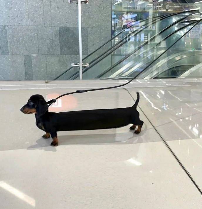 帣ͼƷϵ ŮеɧŸУ