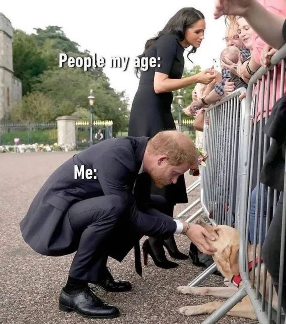 帣ͼƷϵ ŮеɧŸУ