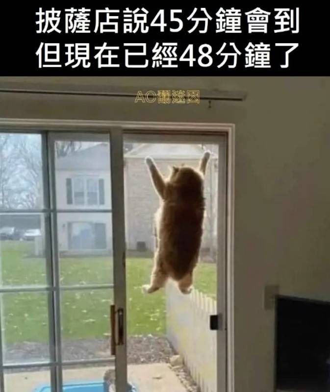 3DMһ̵1533 ⽡˯к