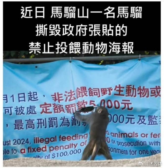 3DM轻松一刻第1533期 妹子这健身和睡觉有何区别