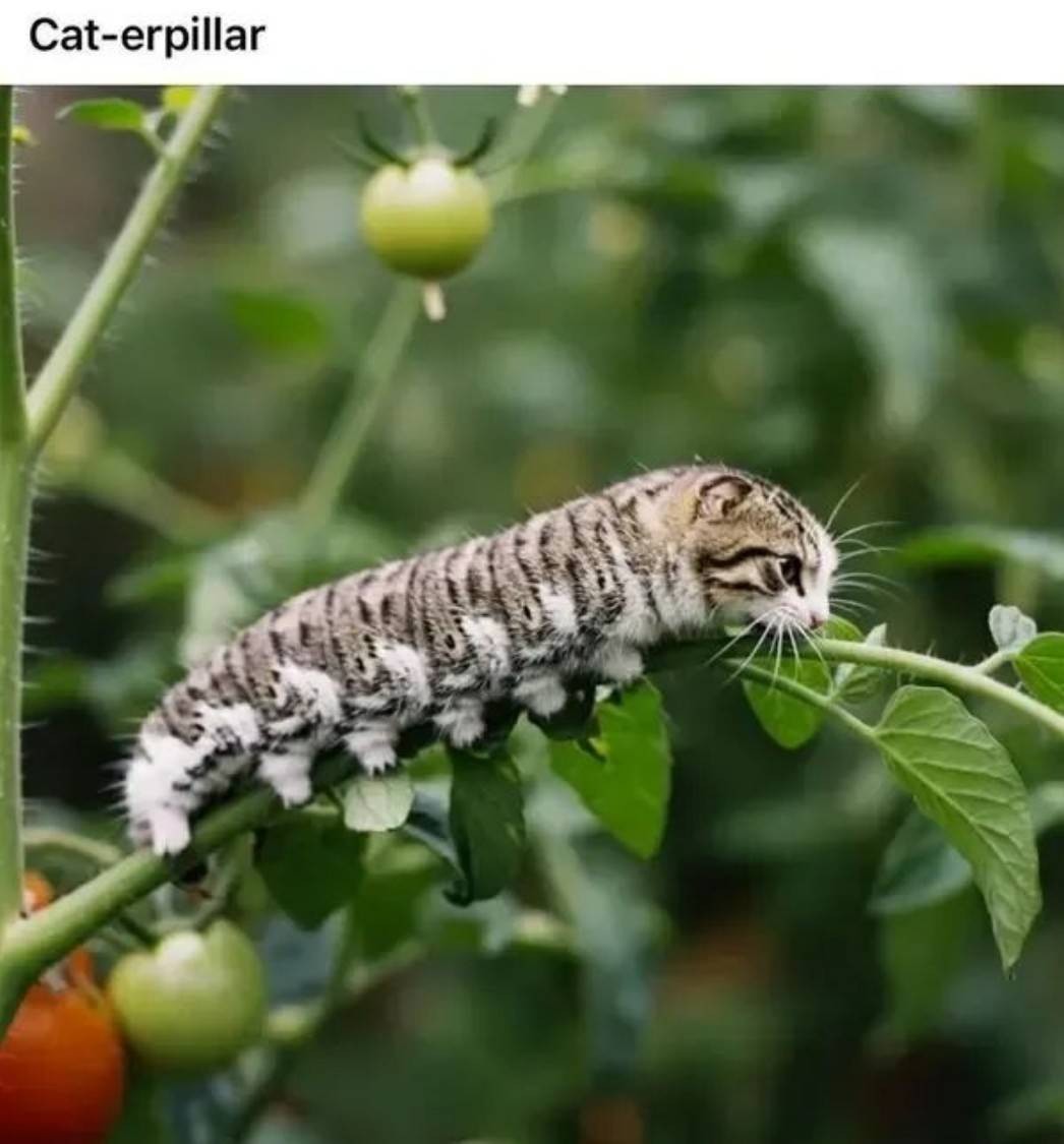 һںͼƷϵ һСŮģط
