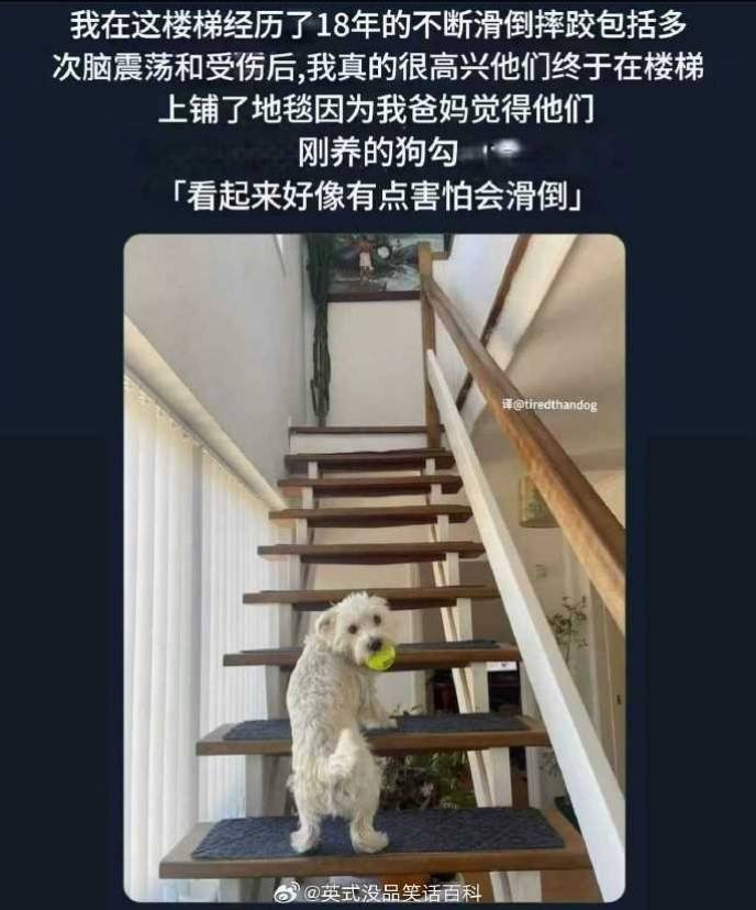 轻松一刻第1535期 这时代没有腿短的小姐姐了