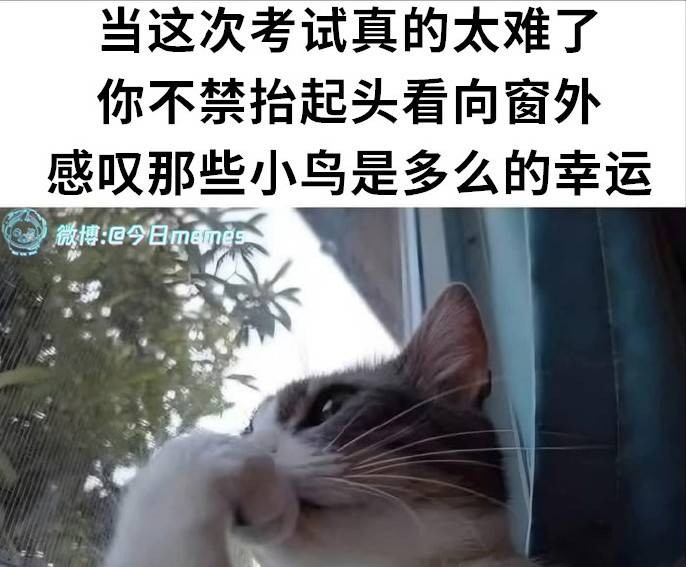 3DMһ̵1536 ϷΪˣ