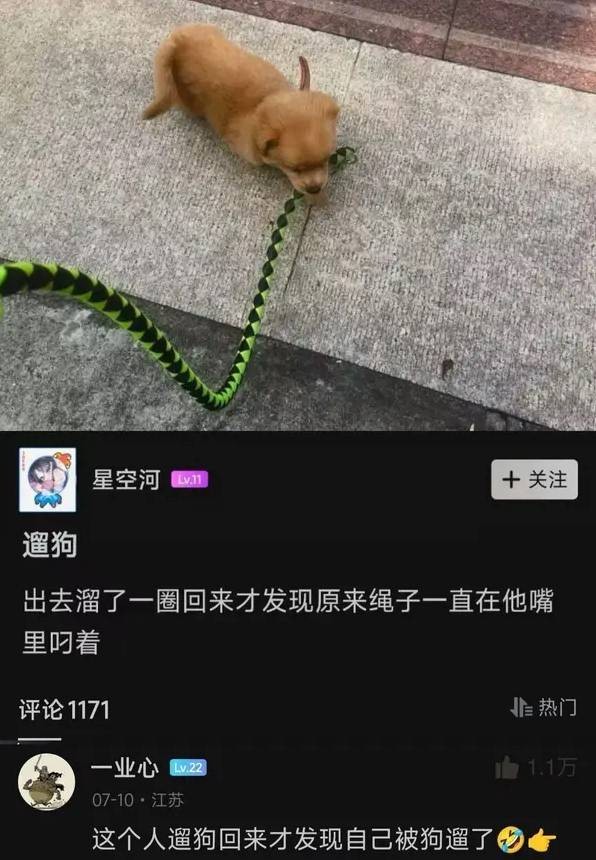 轻松一刻第1537期 看了姐姐才知还是燥热季节