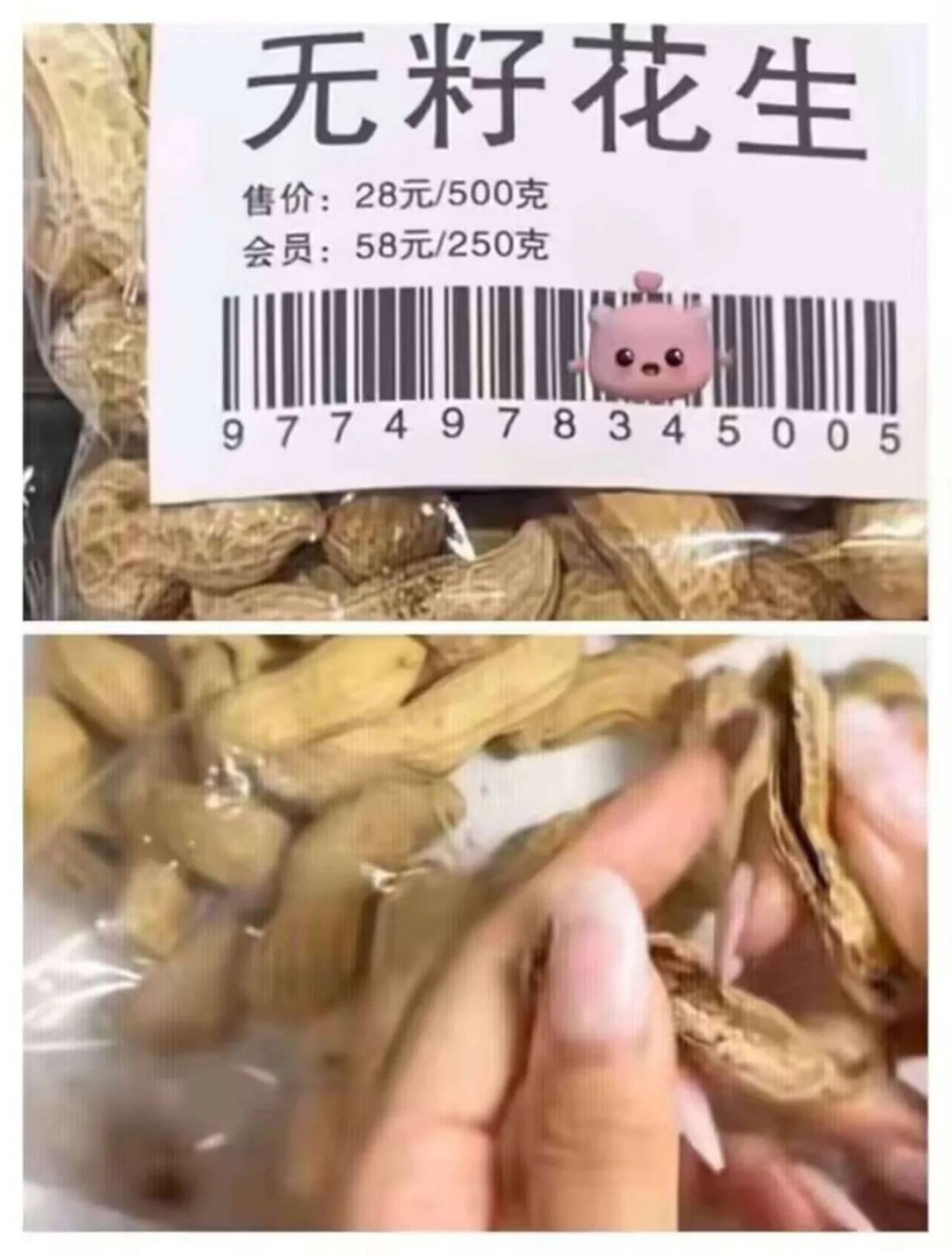 周五福利囧图云飞系列 可爱在性感面前一无是处！