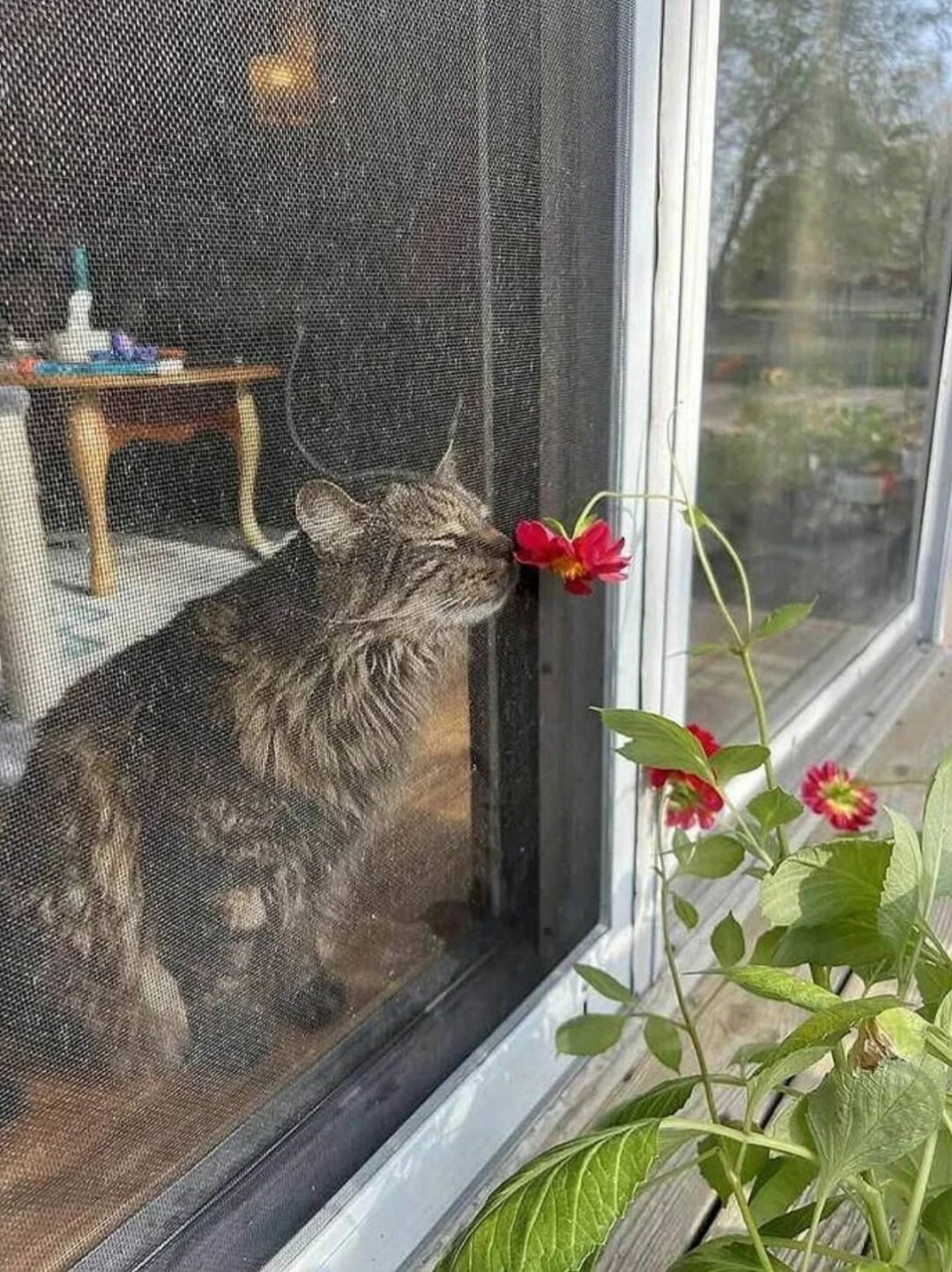 帣ͼƷϵ ɰԸǰһǴ