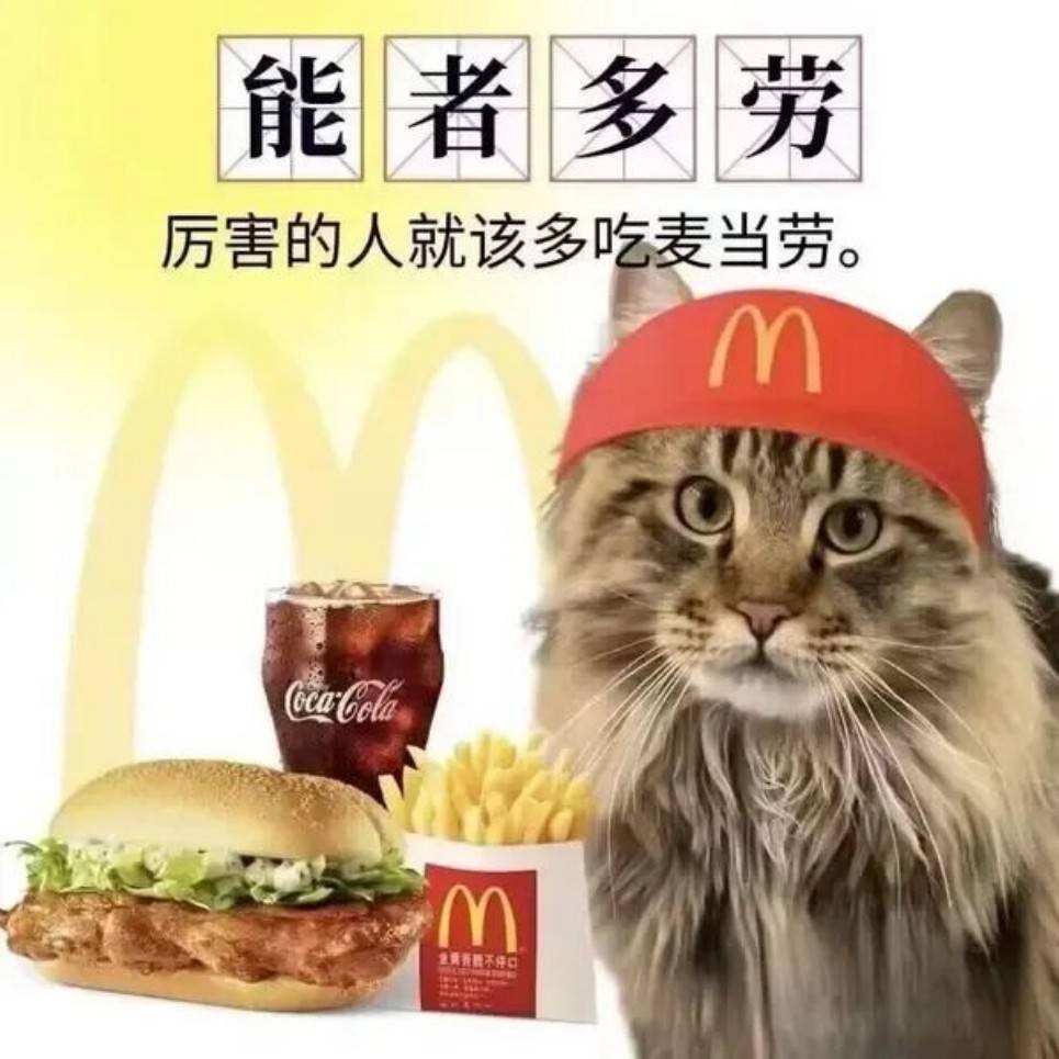 һںͼƷϵ ŮȭӦǺ˿λ