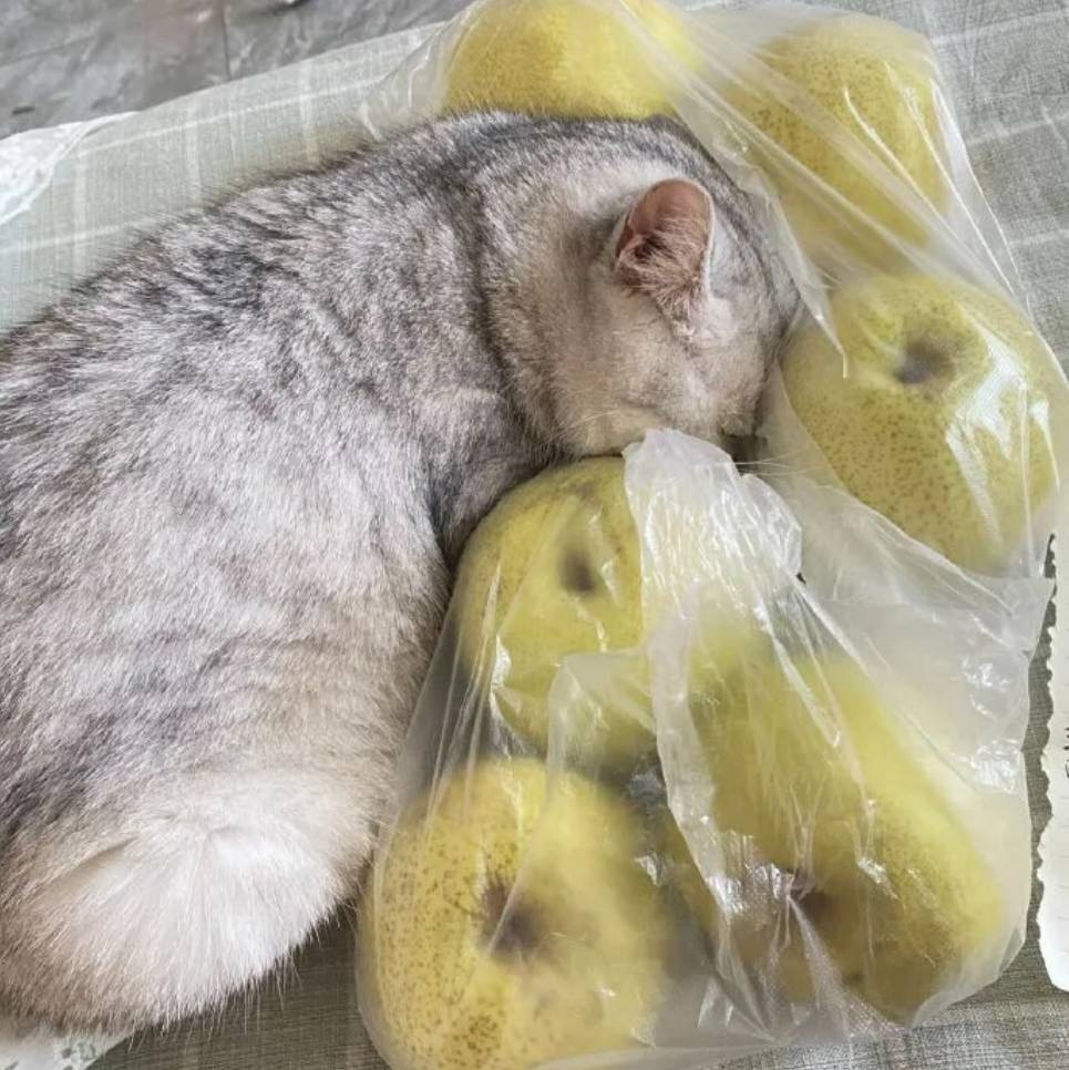һںͼƷϵ ŮȭӦǺ˿λ