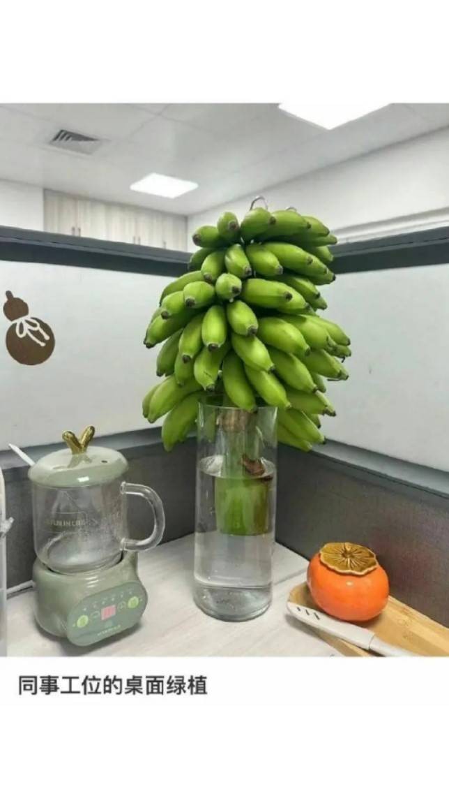 轻松一刻第1540期 金刚芭比核心力量让人羡慕