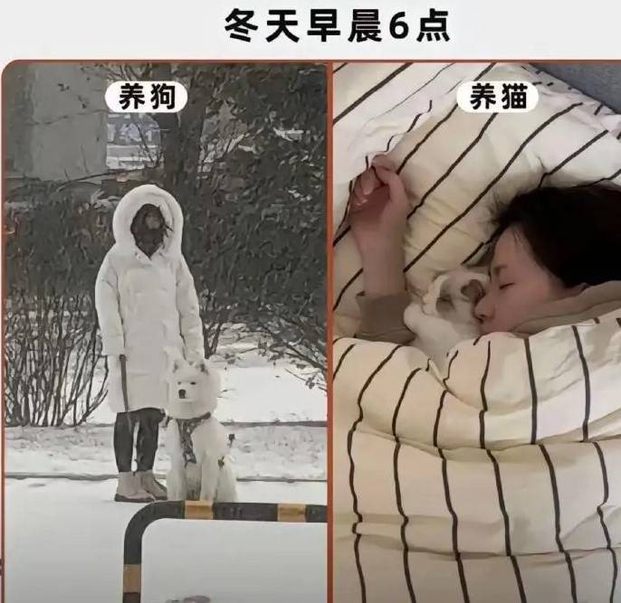 轻松一刻第1540期 金刚芭比核心力量让人羡慕