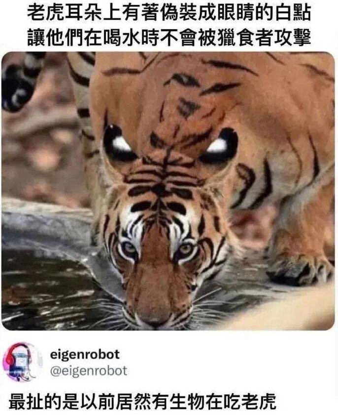 3DMһ̵1540 հűȺĽ