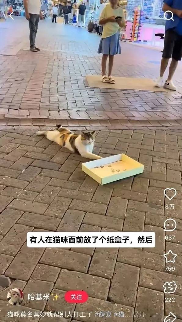 3DMһ̵1541 Ϊ㶯