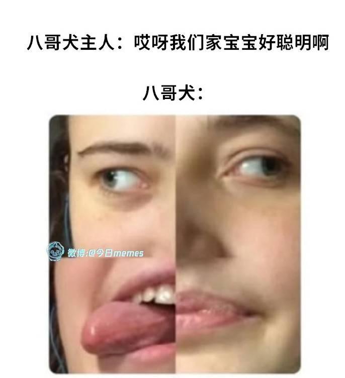3DMһ̵1542 һֱΪͷĵЦ