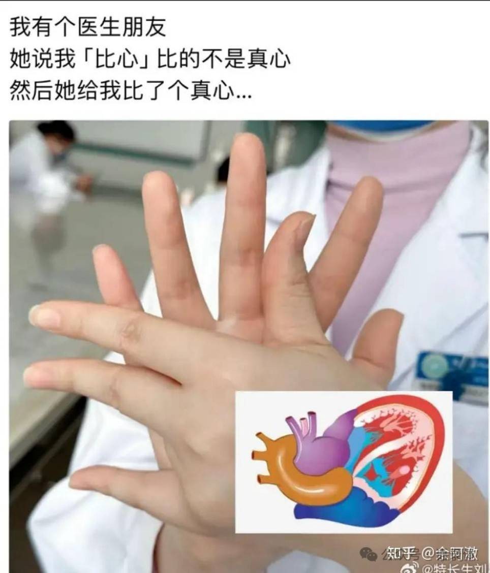 帣ͼƷϵ ˭ϲ
