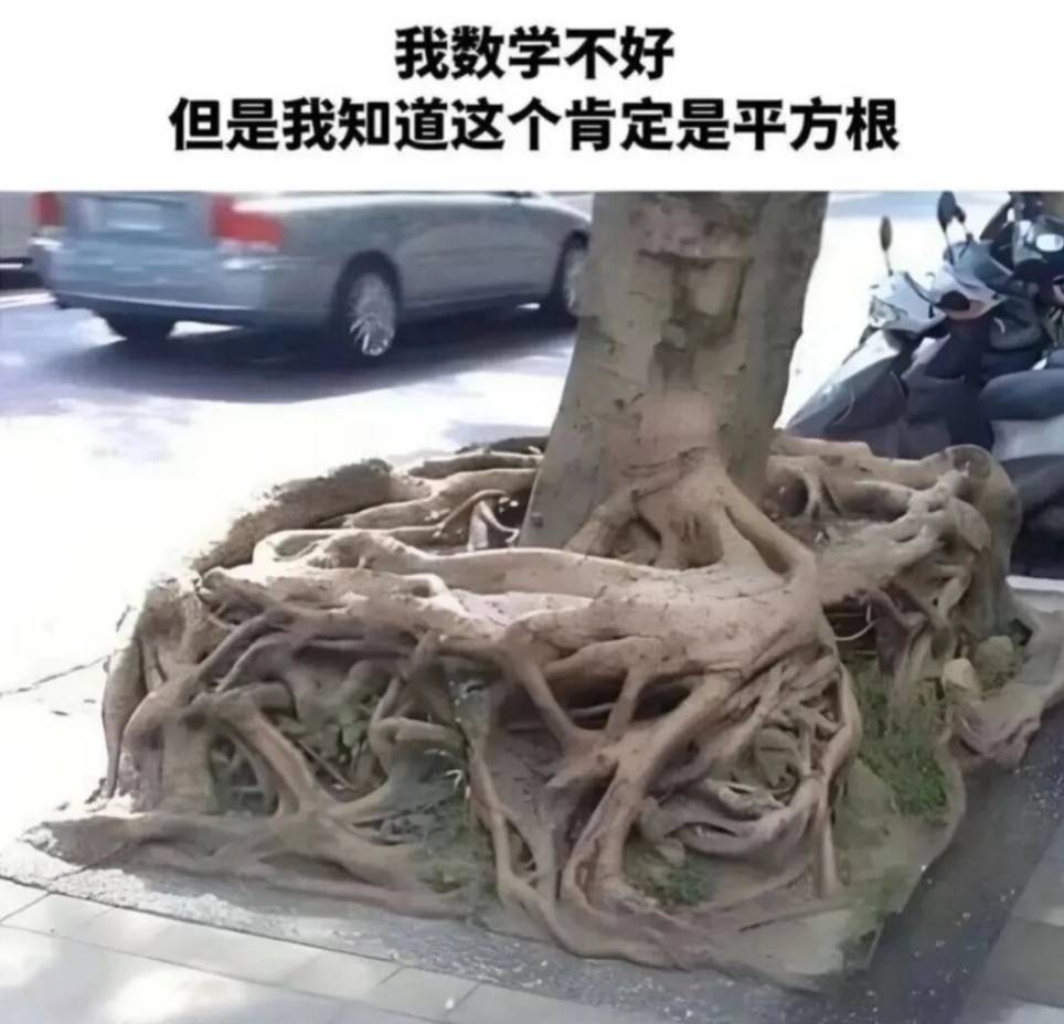 帣ͼƷϵ ˭ϲ