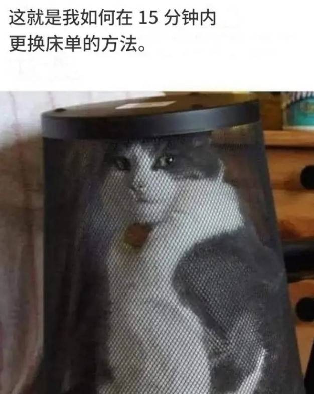 3DMһ̵1543 Ʒʳǰ۹·