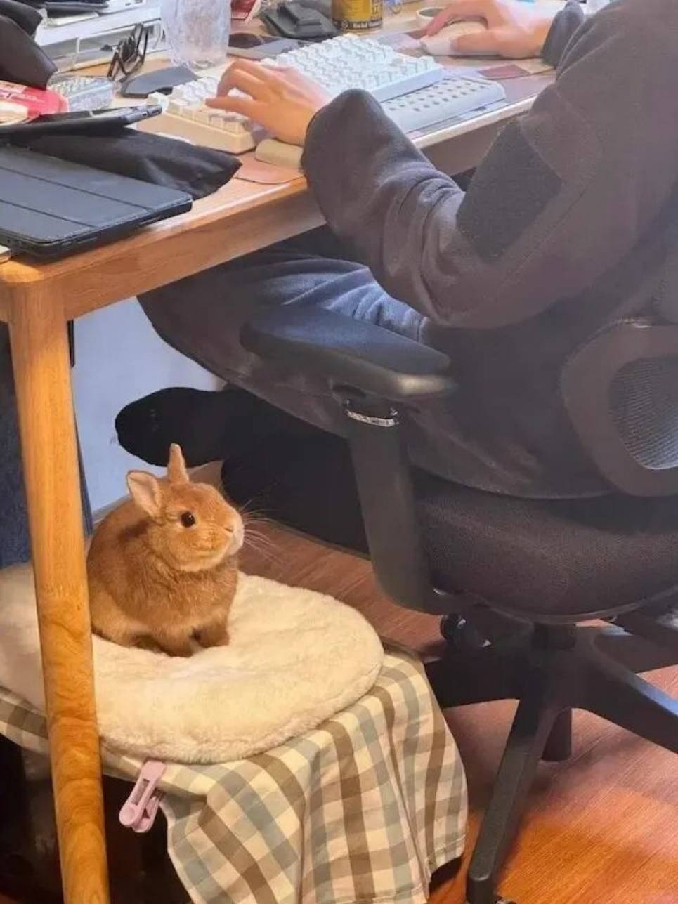 һںͼƷϵ ٤Ůϲһ