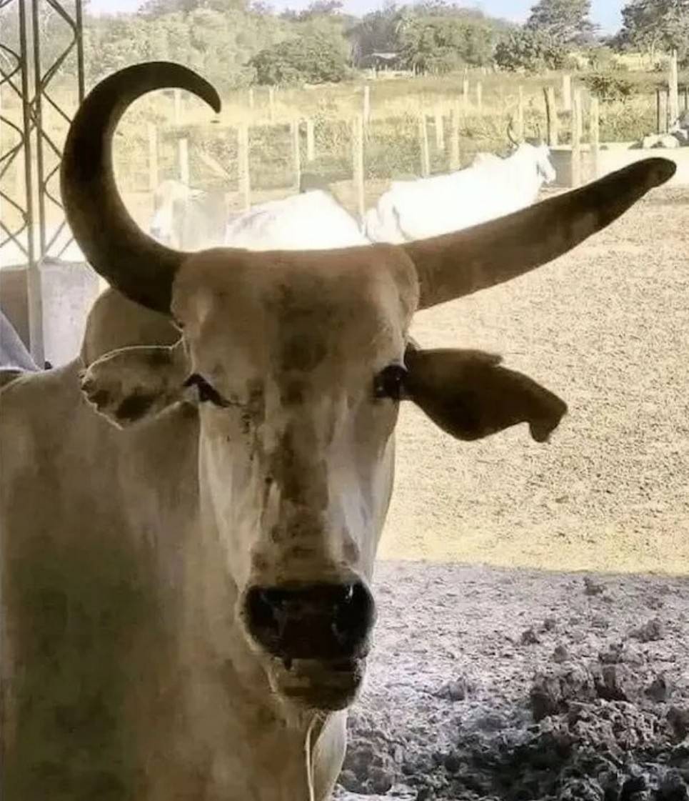 һںͼƷϵ ٤Ůϲһ