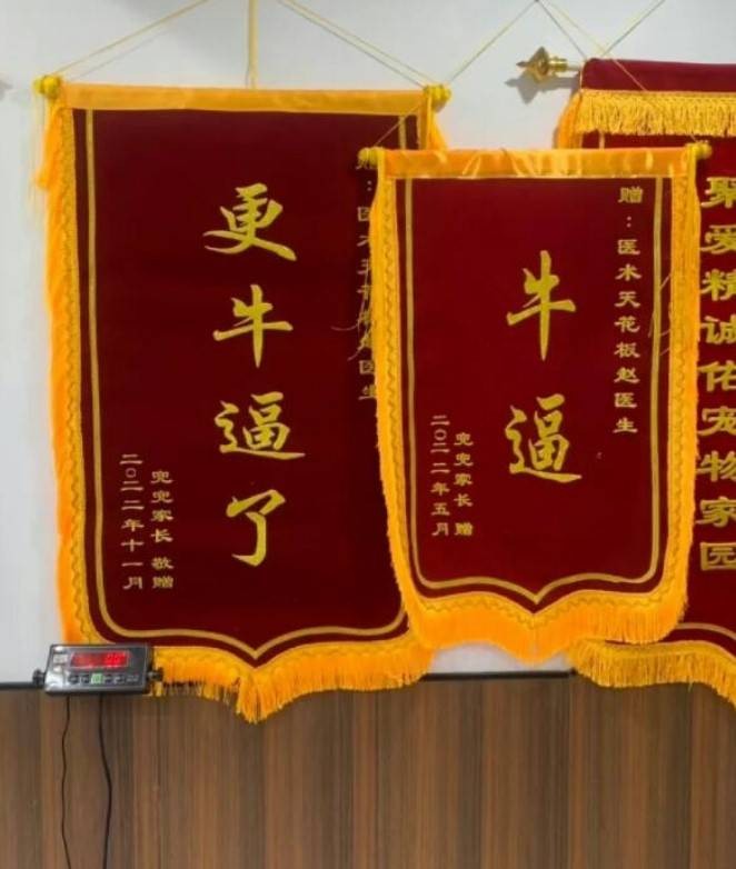 轻松一刻第1546期 我看谁还说按摩不正规了！