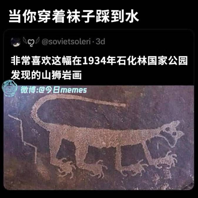 轻松一刻第1547期 男子偷拍忘关闪光灯社死了