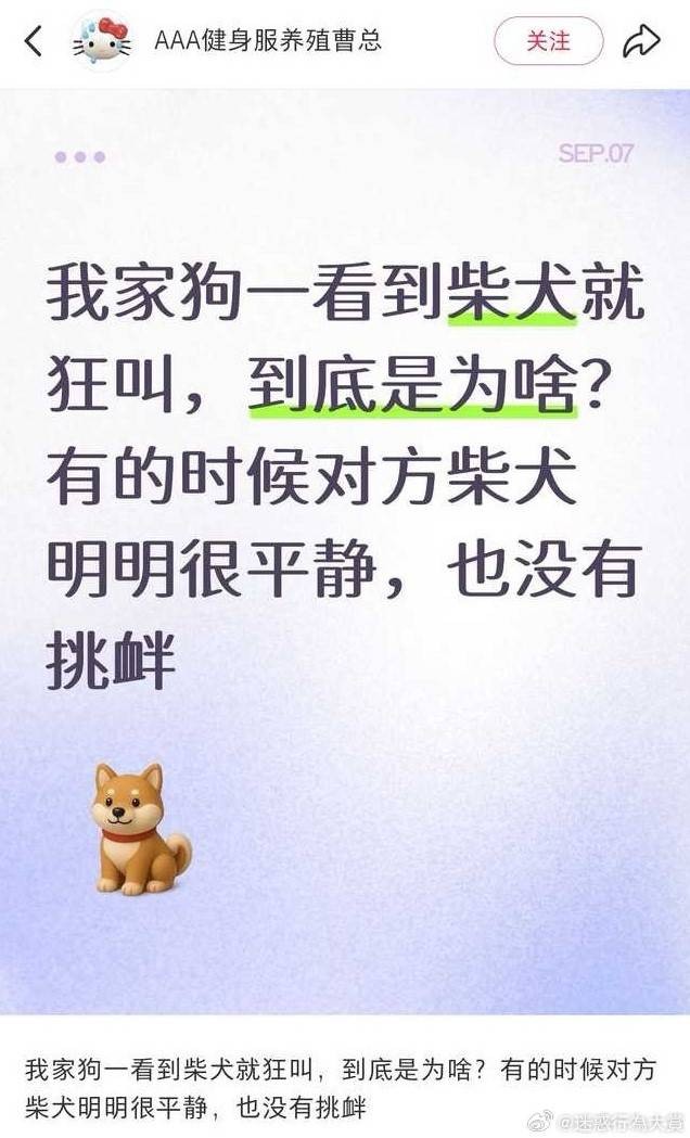 3DMһ̵1549 ֪ɶϷ