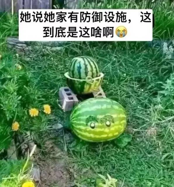 3DMһ̵1550 ڳʱϲ