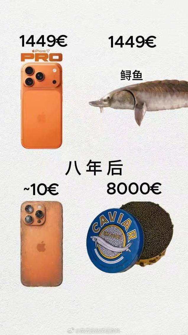 3DMһ̵1552 ȥӰʦŮǣ