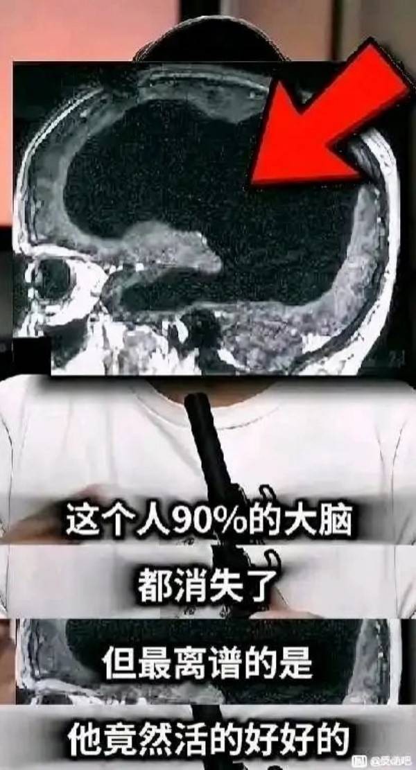 3DMһ̵1552 ȥӰʦŮǣ