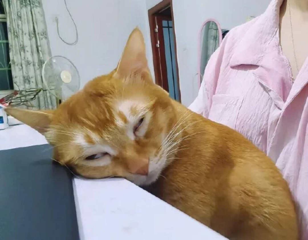 һںͼƷϵ ϷǴ