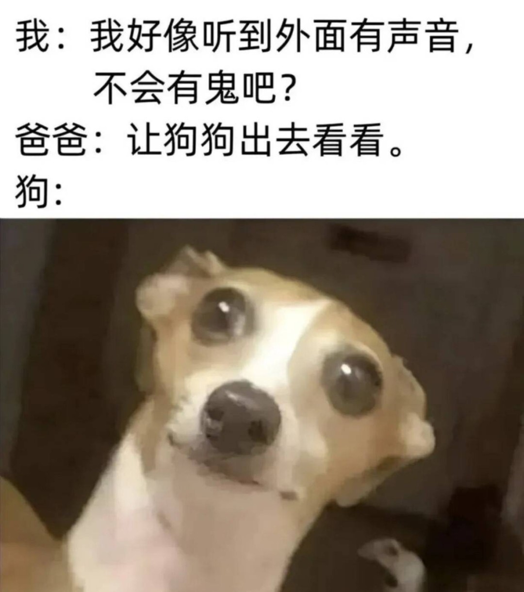 һںͼƷϵ Ůº⴩