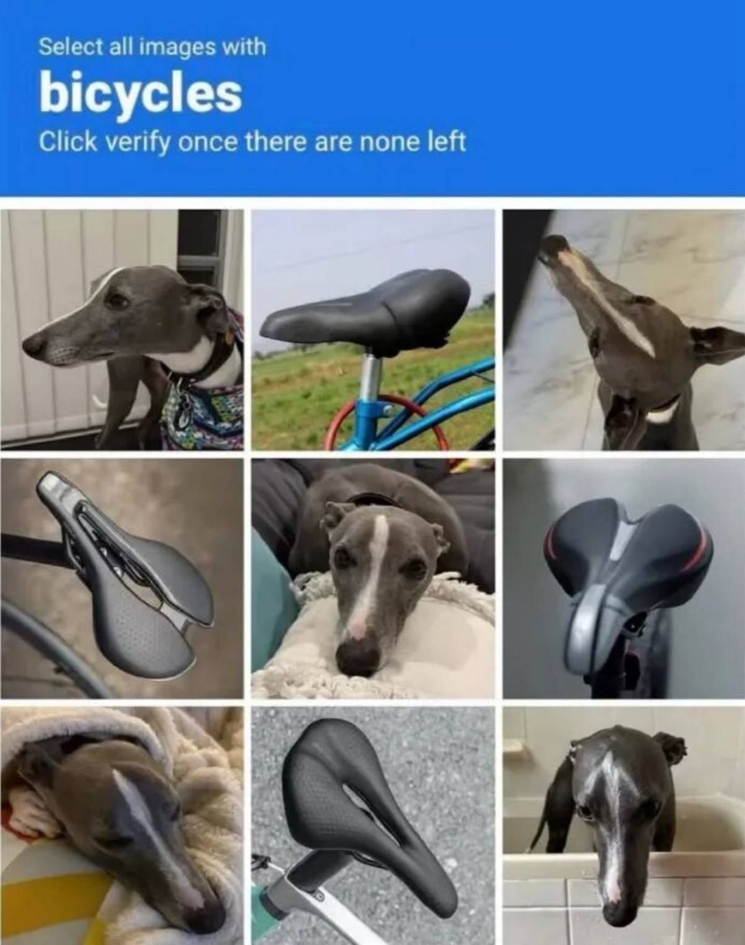 һںͼƷϵ Ůº⴩