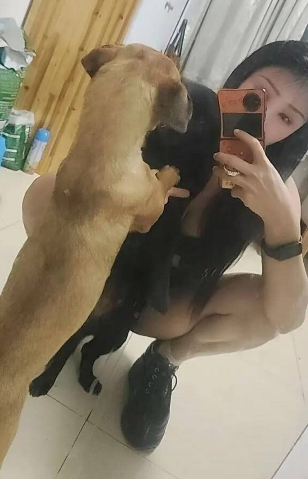 帣ͼƷϵ Ȣһɶ