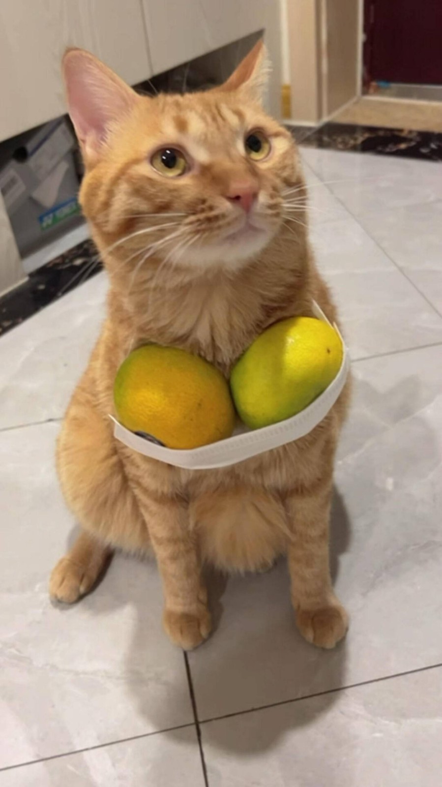 帣ͼƷϵ Ȣһɶ