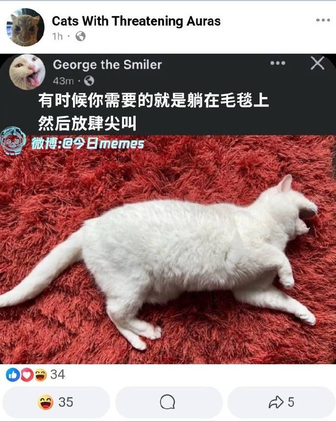 3DMһ̵1557 ŮóĽֺͷ