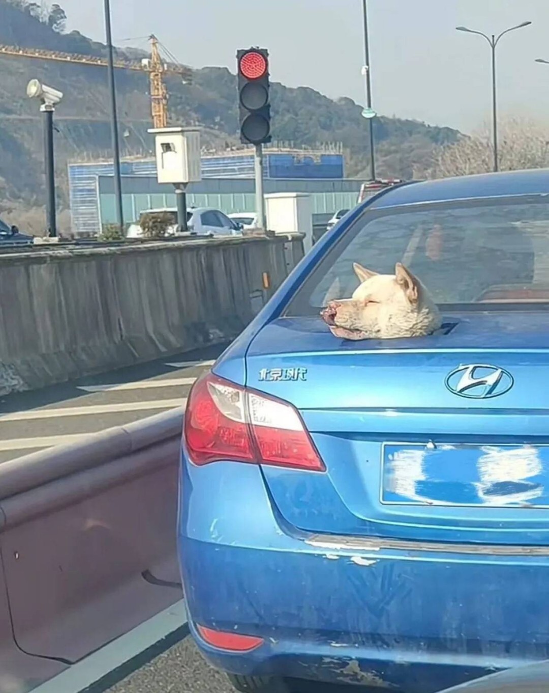 һںͼƷϵ ʱ˿Ҳܵģ