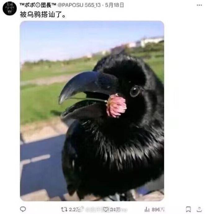 3DMһ̵1559 Ůôװ